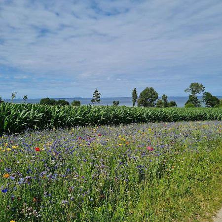 Appartamento Kiekutsland Westerholz Esterno foto