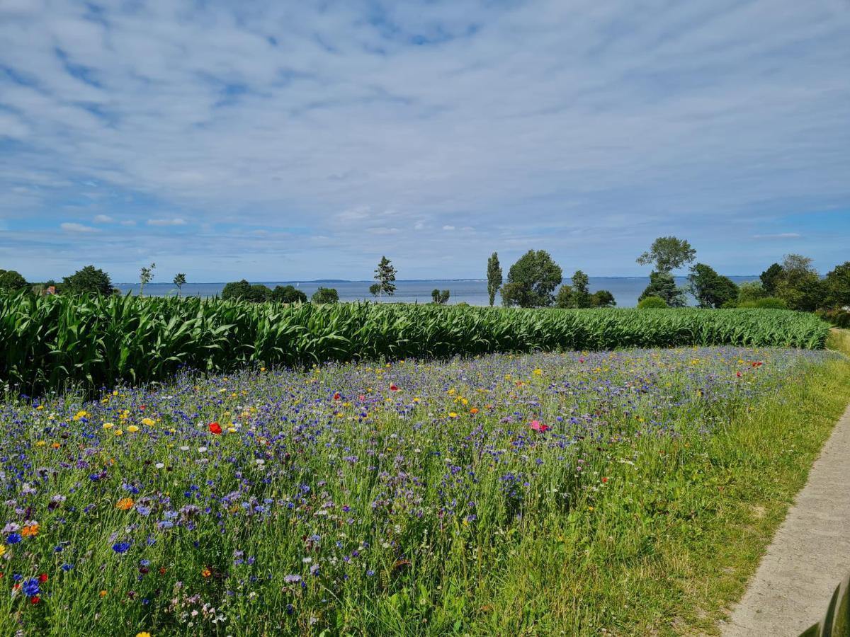 Appartamento Kiekutsland Westerholz Esterno foto