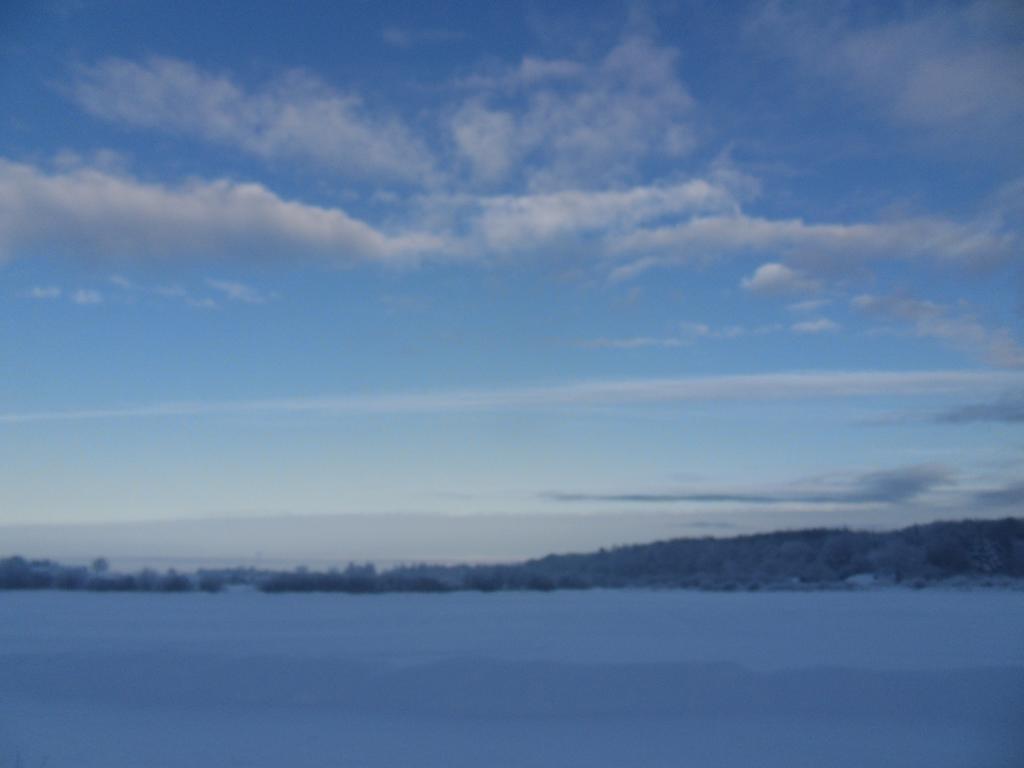 Appartamento Kiekutsland Westerholz Esterno foto